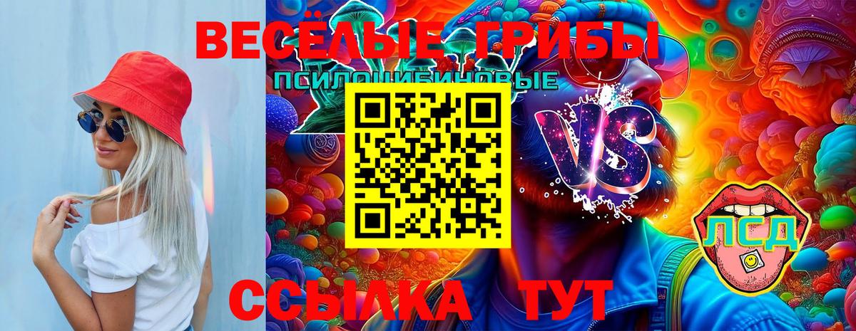 Псилоцибиновые грибы прущие грибы Ступино